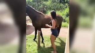 A horse's ass