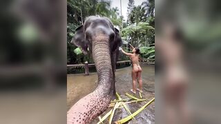 Unintended Glimpses of Butt: Elephant shower #4