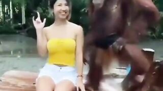 Happy monkey