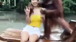 Girl's Breasts Stealing The Show: Happy monkey #2