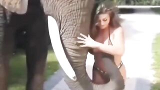 Girl's Breasts Stealing The Show: Hmc while being harassed by an elephant ♥️♥️ #4