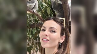 Victoria Justice: More koala content #2